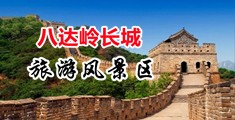 鸡巴插骚逼视频日本中国北京-八达岭长城旅游风景区