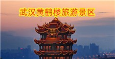 大鸡吧操进去激情视频