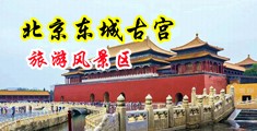 大鸡巴操骚穴视频中国北京-东城古宫旅游风景区