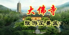 大鸡巴干逼逼中国浙江-新昌大佛寺旅游风景区