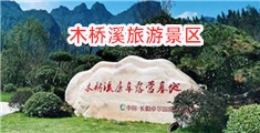 美女的辟逼视频